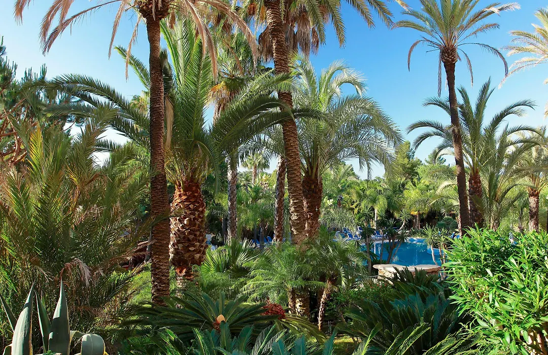 Ria Park Hotel & Spa-1